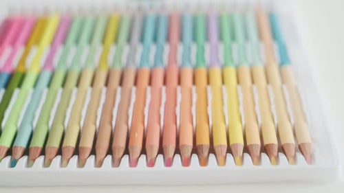 Brightly Colored Pencils Arranged in Plastic Container