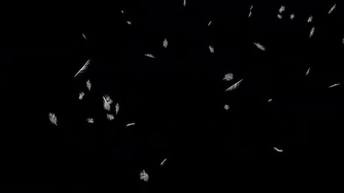 Soft Falling White Feathers Overlay