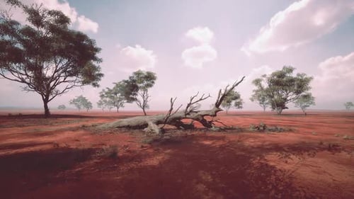 A Vast Expanse of the African Savanna Reveals a Dry Terrain Dotted with Trees