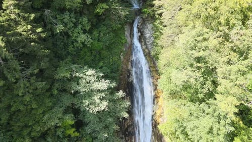 Majestic Waterfall Cascading Through Lush Green Forest
