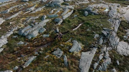 Man Walking his Dog on the Coastal Pilgrimage Road in Blaheia Mountain, Norway - Drone Orbit