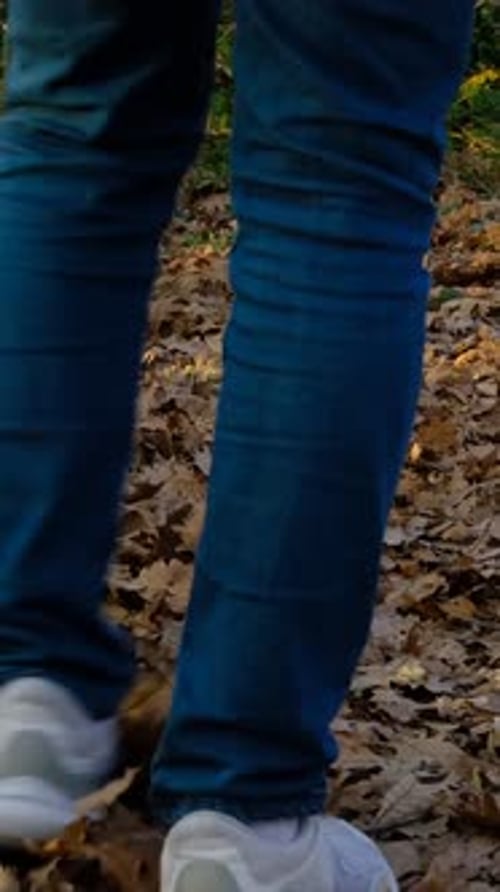 Walking Through Brown Leaves in the Fall Woods