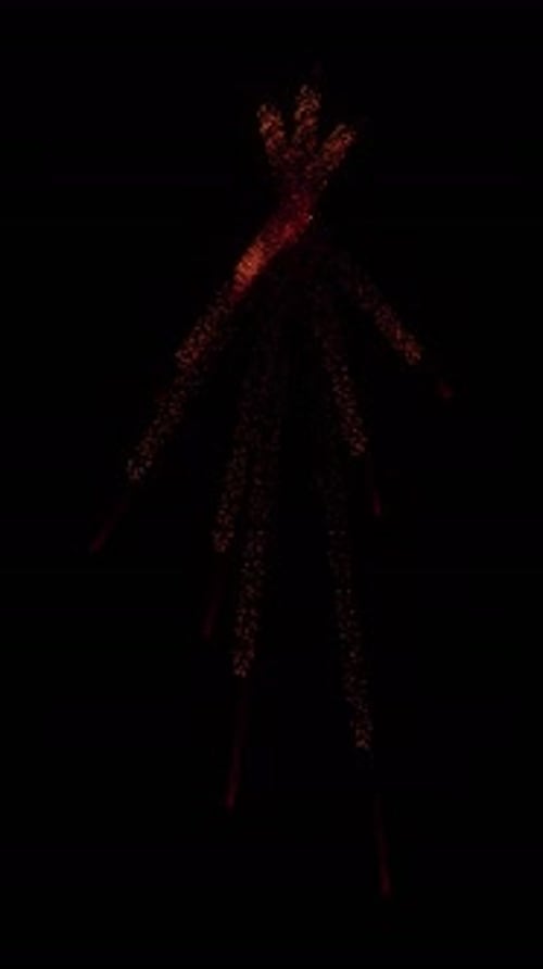 Digital Human Silhouette Disintegrates into Particles