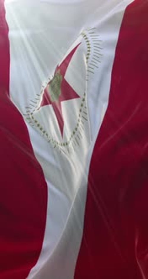 Birmingham Flag