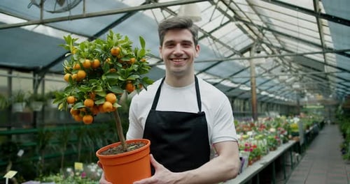 A Young Guy Worker in a Specialized Flower Shop Holds a Pot with a Small Tree of Oranges in His