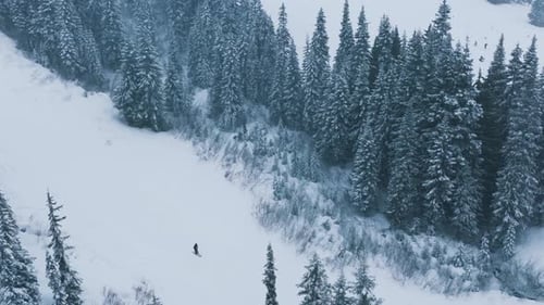 Overhead Aerial Skiers in Beautiful Mountain Forest Landscape Riding Down Slope