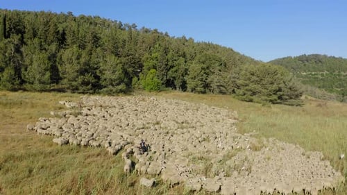 Sheep grazing on a mountainside pasture, Aerial view.