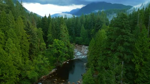Aerial View of Beautiful Mountain Landscape A River Flows Among Tall Trees