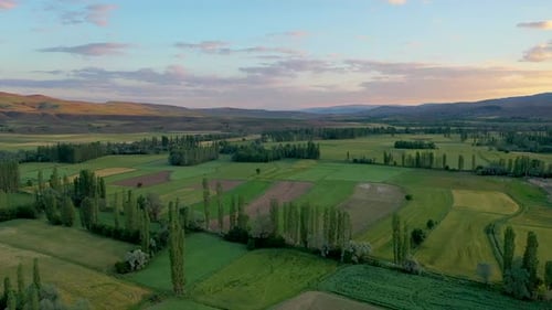 Toma aérea con árboles y tierras de cultivo