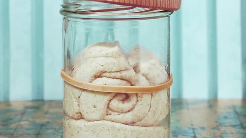 Sourdough Starter Culture Growing in a Jar