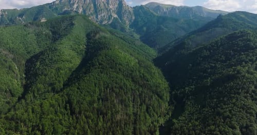 Aerial View of Beautiful Mountain Landscape in Summer Forest and Rocks