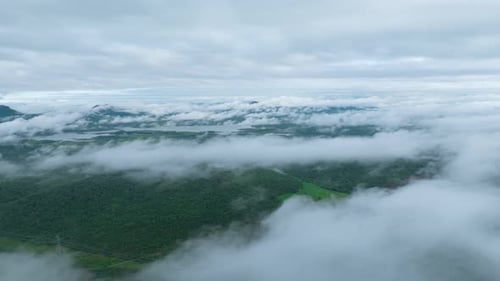 Above the Clouds: Morning Fog and Cloud Movement