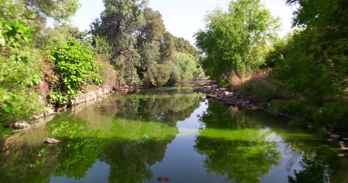 Rio e floresta