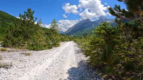 Trail in tree in the Valbona valley trekking to Theth, Theth national park, Albanian Alps, Valbona A