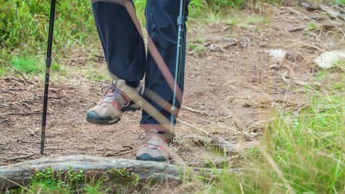 Person Hikes on Dirt Trail with Hiking Poles