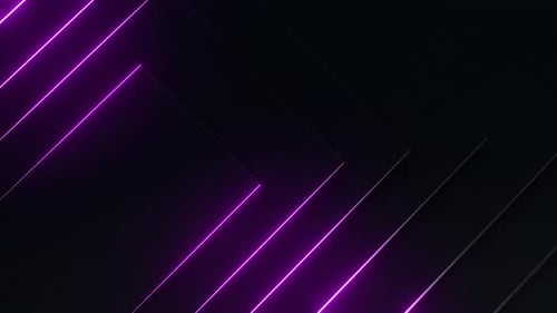 Purple Neon Lines Loop