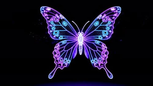Lebendiger lila Schmetterling mit leuchtend blauen Details auf schwarzem Hintergrund