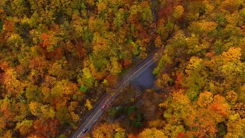 Automobiles move by the highway in the thick wood of red, yellow, orange colors.