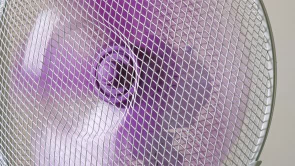 Home appliance oscillating electric fan rotating purple plastic blades ...