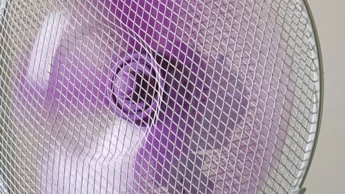 Home appliance oscillating electric fan rotating purple plastic blades circulating air in room close