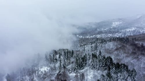 Aerial view of a misty snow-covered forest during winter showcasing natural beauty