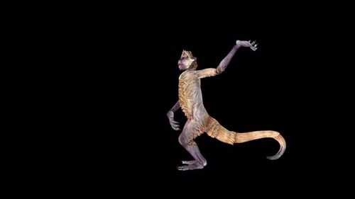 3D Animated Monkey Crawling Loop