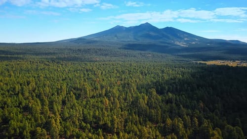 Vast valley covered by the beautiful green forest. Stunning mountains at backdrop.