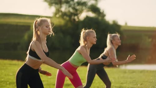 Three Slim Women in Sexy Sportswear are Training Together in Park Keeping Fit and Losing Weight