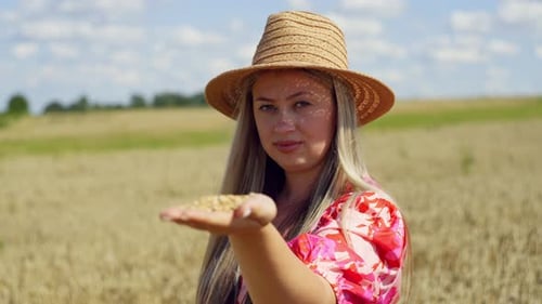 Woman Holding Wheat Kernels in Sunny Field