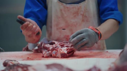 Butcher Cutting Raw Meat with Knife in Workplace
