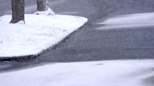 Kleine Schneeflocken, die auf eine Straße fallen, Wintertag, schneebedeckter Weg und Gras, kalter Schneefall