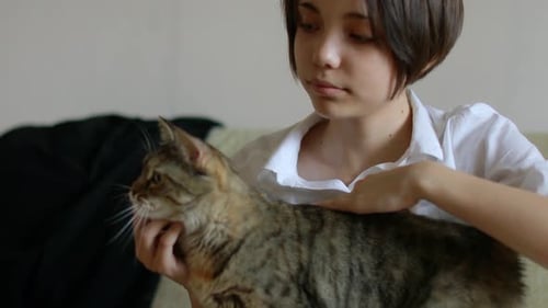 Love and Affection for Cats