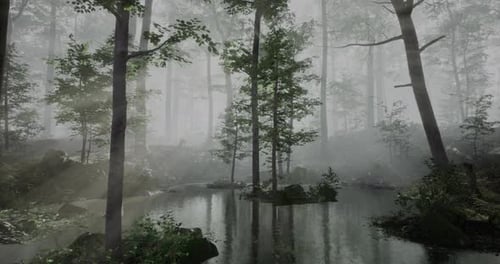 Misty Forest Pond Reflecting the Ethereal Light of a Quiet Morning