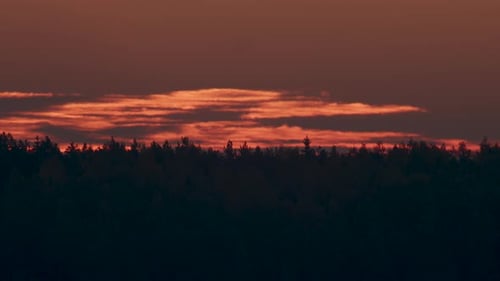 Treeline Silhouette at Moody Golden Hour