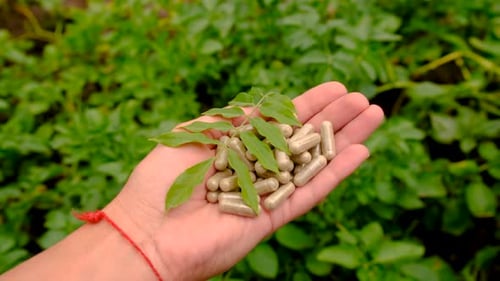 Herbal Supplements and Leaves in Woman's Hand Outdoors