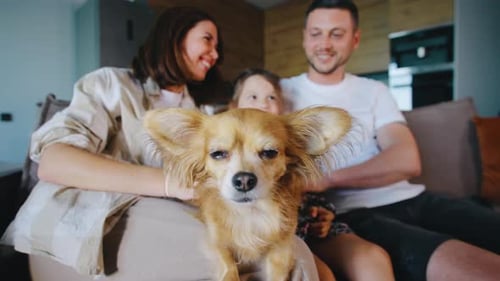 Happy Family Cuddling with a Dog on the Sofa
