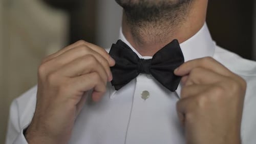 Man straightens bowtie close up slow motion. Well-dressed man adjusts classic black bowtie