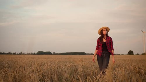 Woman Farmer Walks Through Golden Wheat Field with Ripe Harvest