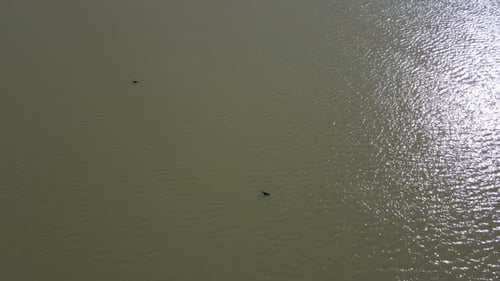 Pond Accumulated Water