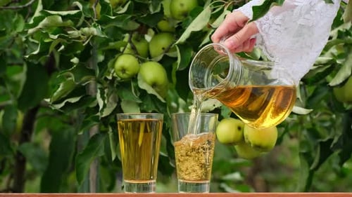 Apple juice on a wooden table in the garden, around it are apples