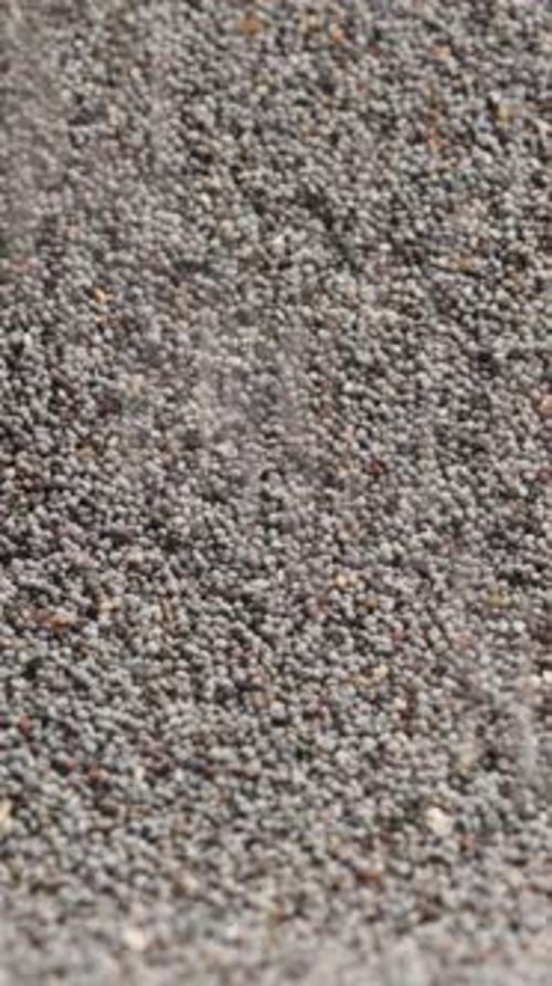 Vertical video. Dry poppy seeds fall downward, with a background of scattered seeds.