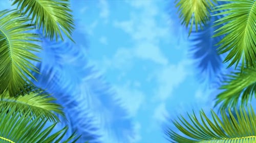 Summer Paradise Rahmen