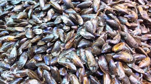 Close Up Pile Of Fresh Raw Mussels At Market