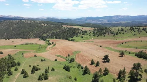 Vue aérienne avec arbres, parcelles et collines (2)