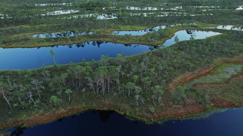 A large body of water surrounded by lush green trees
