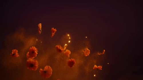 Marigold Gold Dust