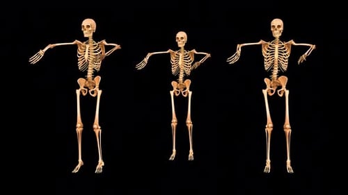 Brown Skeleton Samba Dancing
