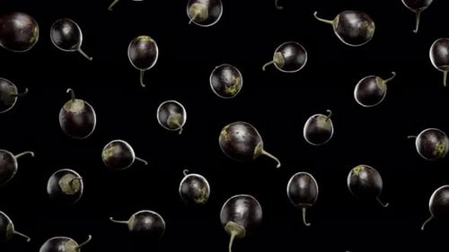 Seamless Floating Eggplants on Alpha