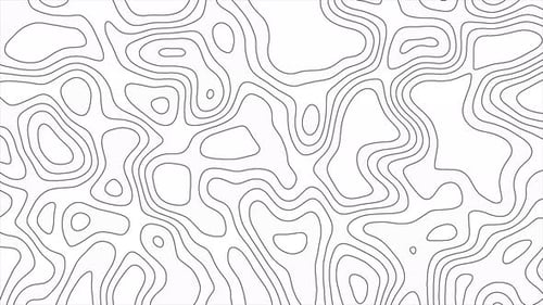 White Topographic Abstract Background Animation Loop