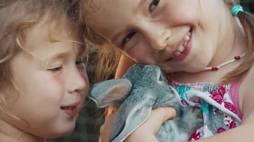 Two Happy Children Holding a Gray Rabbit